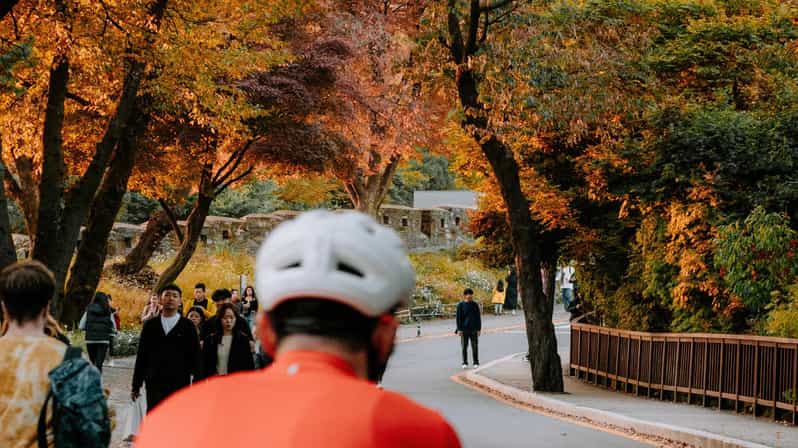 Seoul: Urban Nature Bike Tour along Han River - What I’d recommend you do during the ride