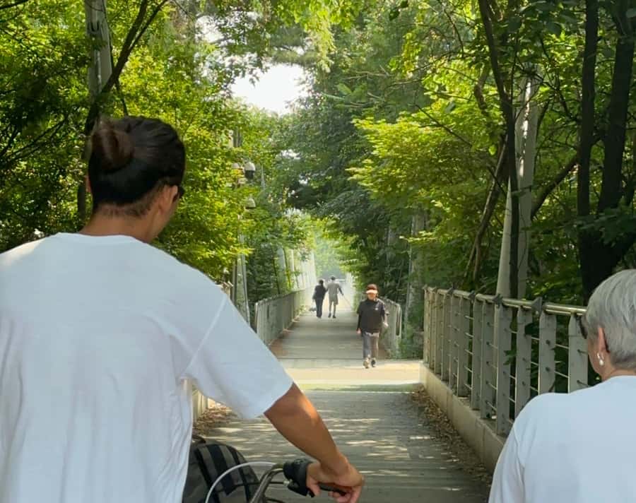 Seoul: Urban Nature Bike Tour along Han River - Why Han River cycling feels like Seoul’s reset button