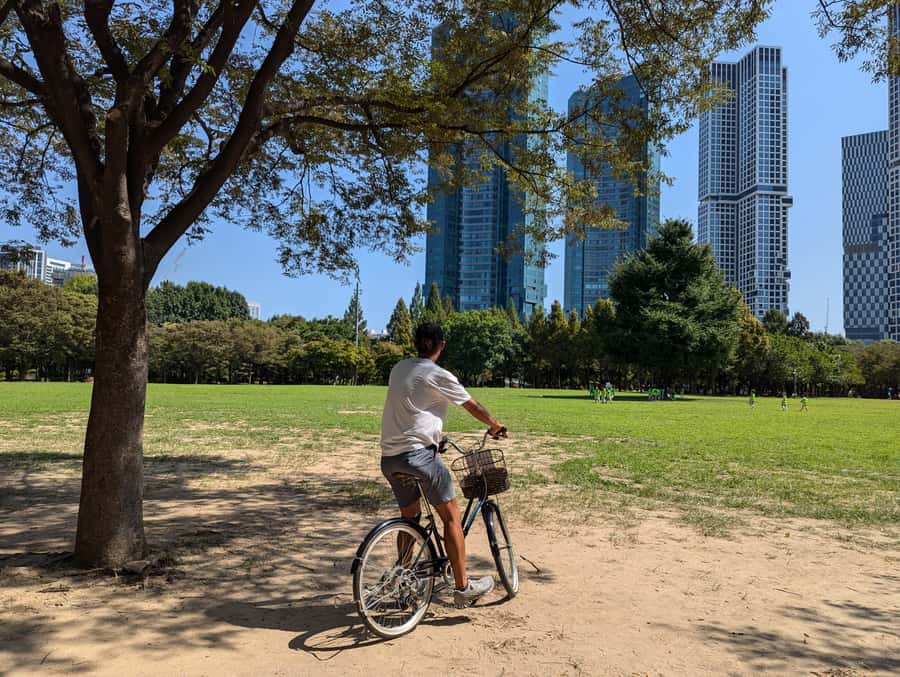 Seoul: Urban Nature Bike Tour along Han River - Evening bike tour: skyline views plus a short hike on the way