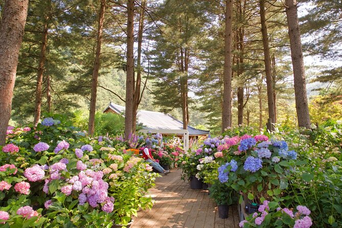 Seoul Vicinity 5 in 1: Nami Island, Garden of Morning Calm & More - Stop 1, Garden of Morning Calm: Gardens, Festivals, and Seasonal Light Timing