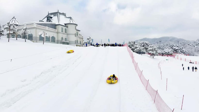 Seoul: Vivaldi Park Winter Ski with Nami Island Day Tour - Key Highlights You’ll Actually Feel