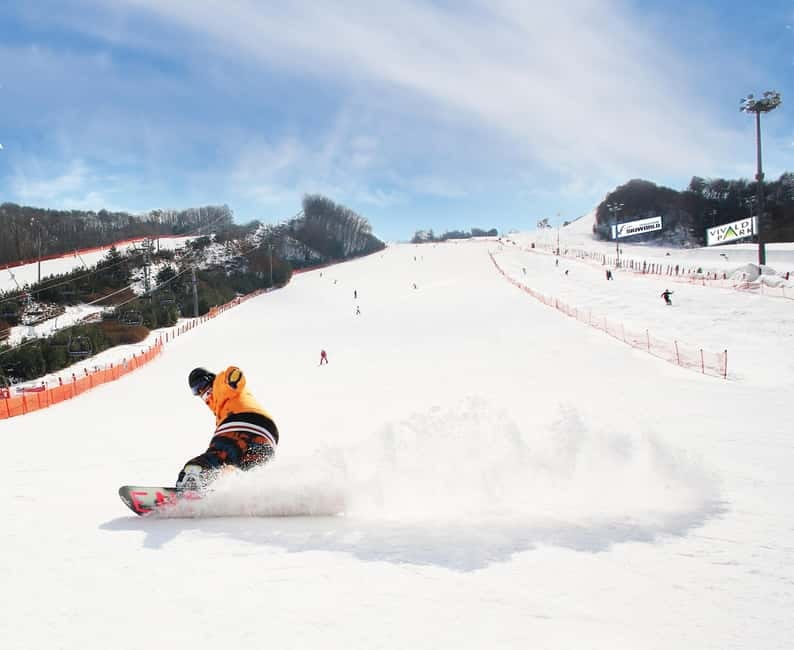 Seoul: Vivaldi Park Winter Ski with Nami Island Day Tour - Who This Tour Suits Best (and Who Should Skip It)
