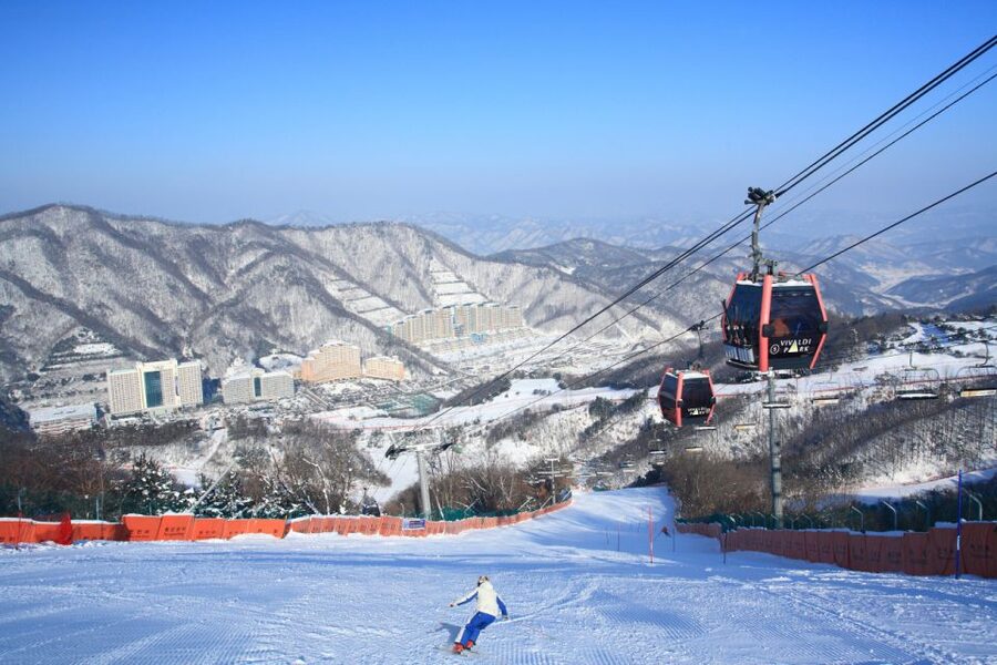 Seoul: Vivaldi Park Winter Ski with Nami Island Day Tour - Vivaldi Park Ski World: Rentals, Lift Access, and a Real 1-Hour Beginner Lesson