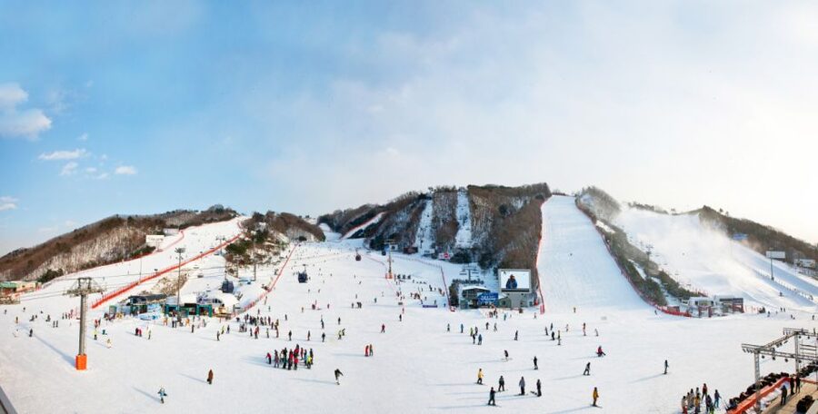 Seoul: Vivaldi Park Winter Ski with Nami Island Day Tour - Nami Island After the Slope: Photos, Walks, and Time to Reset