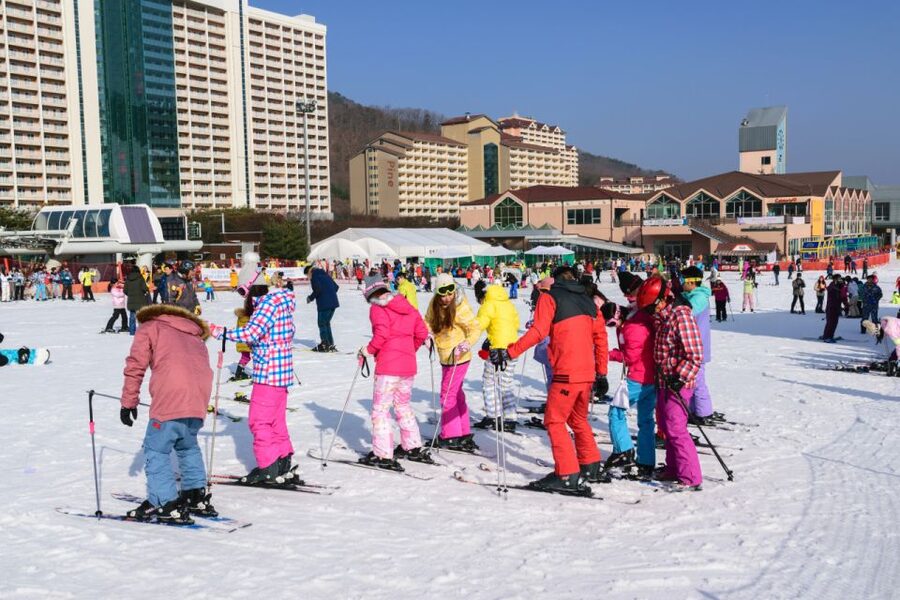 Seoul: Vivaldi Park Winter Ski with Nami Island Day Tour - The Different Packages, and Who Each One Fits Best