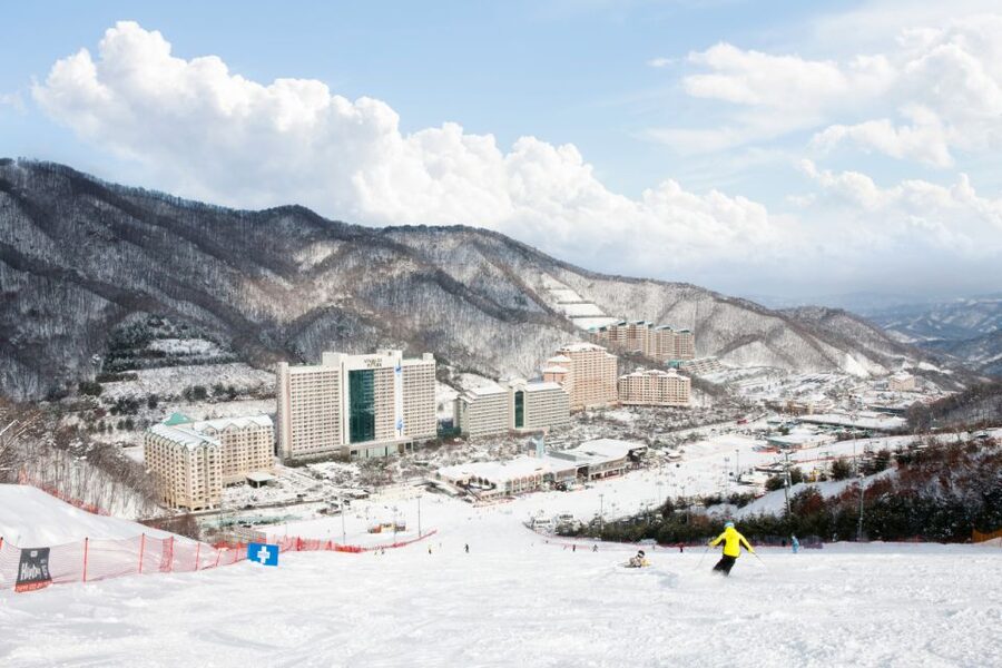 Seoul: Vivaldi Park Winter Ski with Nami Island Day Tour - Timing, Weather, and What to Bring to Stay Happy