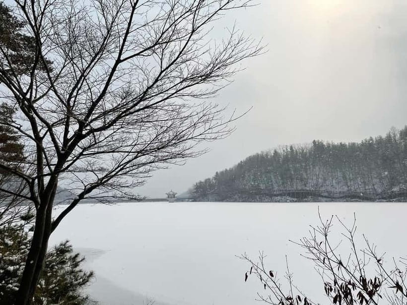 Seoul: Winter Day Tour in Pocheon (+Strawberry Picking) - Quick hits before you go