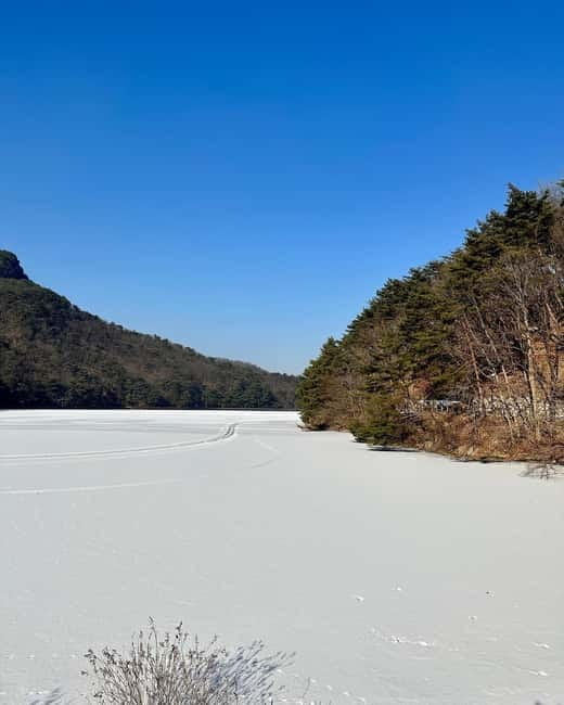Seoul: Winter Day Tour in Pocheon (+Strawberry Picking) - Dally.On: your first self-guided hour