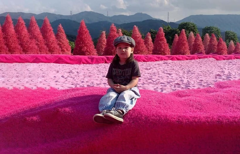 Seoul: Winter Day Tour in Pocheon (+Strawberry Picking) - Atal Strawberry Farm: picking and tasting in season
