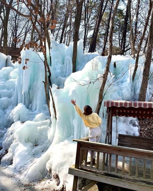 Seoul: Winter Day Tour in Pocheon (+Strawberry Picking) - Price and value: what $62 buys you, and what it does not