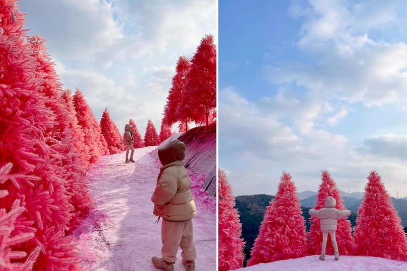 Seoul: Winter Day Tour in Pocheon (+Strawberry Picking) - Who this tour is best for (and who should think twice)