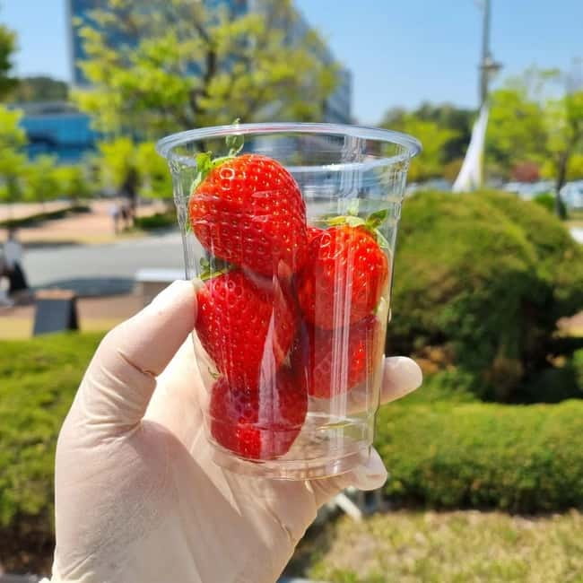 Seoul: Winter Day Tour in Pocheon (+Strawberry Picking) - Frozen Sanjeong Lake: photos, cold air, and the “ice depends” rule