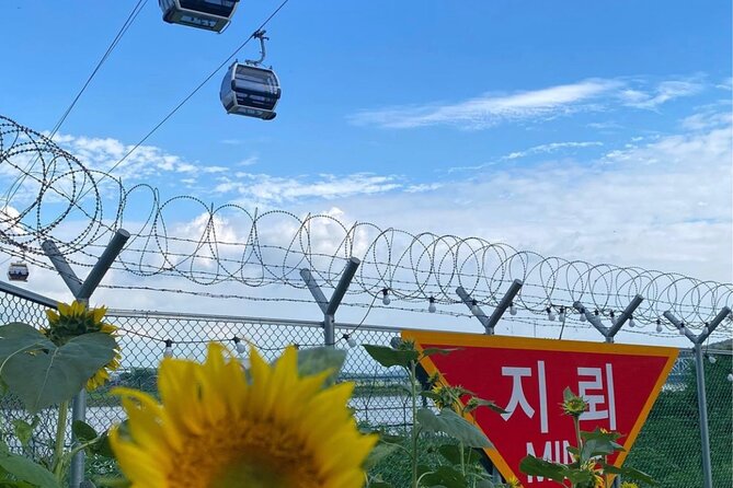 Signature DMZ Tour: Exclusive Defector Talk & Suspension Bridge - The DMZ segment itself, controlled viewing time, and why you should expect restrictions