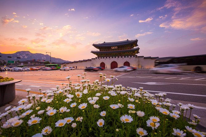 Signature Seoul : Netflix Sites, Street Food & N Seoul Tower - Gyeongbokgung Palace and the National Folk Museum