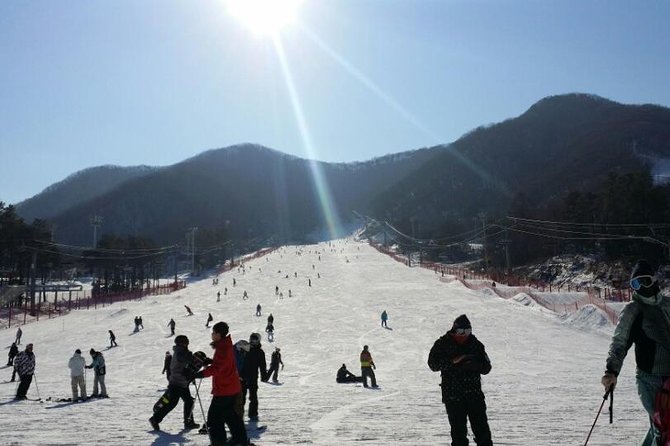 Ski Tour to Jisan Ski Resort from Seoul - From Myeong-dong Pickup to a Real 1-Hour Mountain Escape