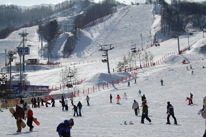 Ski Tour to Jisan Ski Resort from Seoul - On-Mountain Time, Lunch Choices, and How to Make 9 Hours Feel Longer