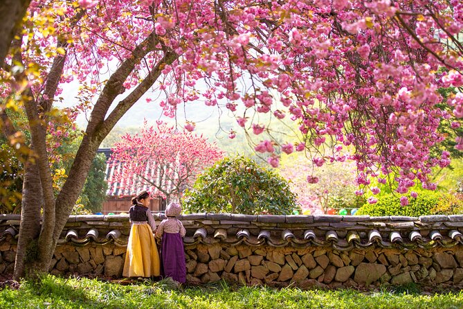 Sky Capsule with Cherry Blossom & Spring Flowers Tour from Busan - Key Highlights Before You Go