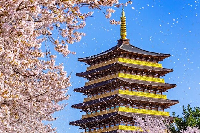 Sky Capsule with Cherry Blossom & Spring Flowers Tour from Busan - The 1.5-Hour Sky Capsule Ride: What Makes It Worth Your Time