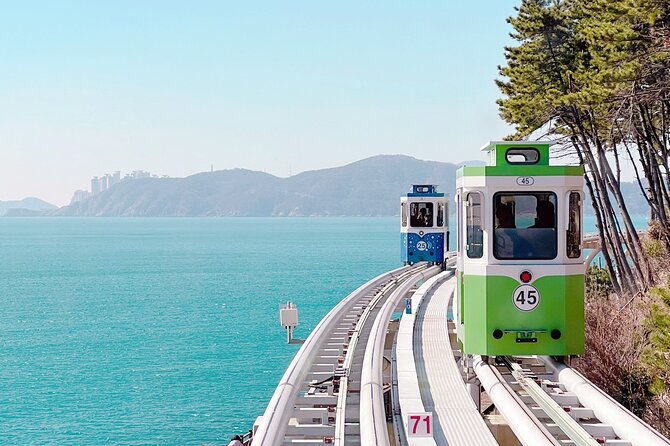 Sky Capsule with Cherry Blossom & Spring Flowers Tour from Busan - Timing and Logistics That Make or Break the Experience