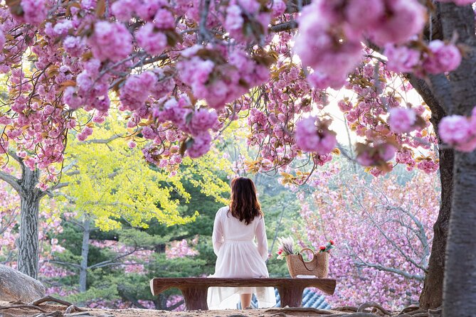 Sky Capsule with Cherry Blossom & Spring Flowers Tour from Busan - Price and Value: What $70.33 Really Buys You