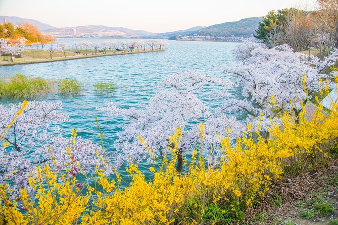 Sky Capsule with Cherry Blossom & Spring Flowers Tour from Busan - Who This Tour Is Best For (and Who Might Not Love It)