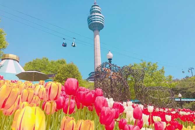 Sky Capsule with Cherry Blossom & Spring Flowers Tour from Busan - My Booking Advice: Should You Choose This Tour?