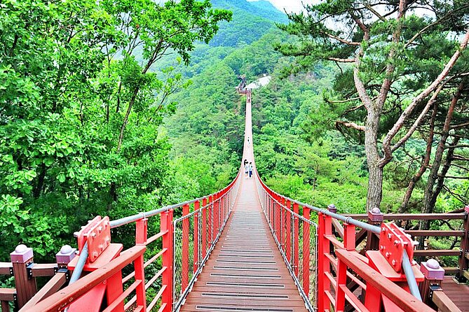 Small-Group DMZ Tour w/ North Korea Experience Hall & Susp.Bridge - One Packed Day: How the Schedule Really Feels From Seoul