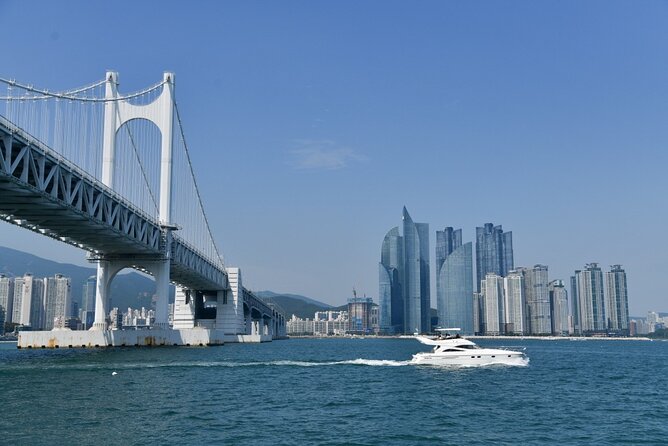 Small Group Full Day Busan Tour (Max 6 Pax) - Songdo Skywalk: the glass curve stop you’ll be glad you included