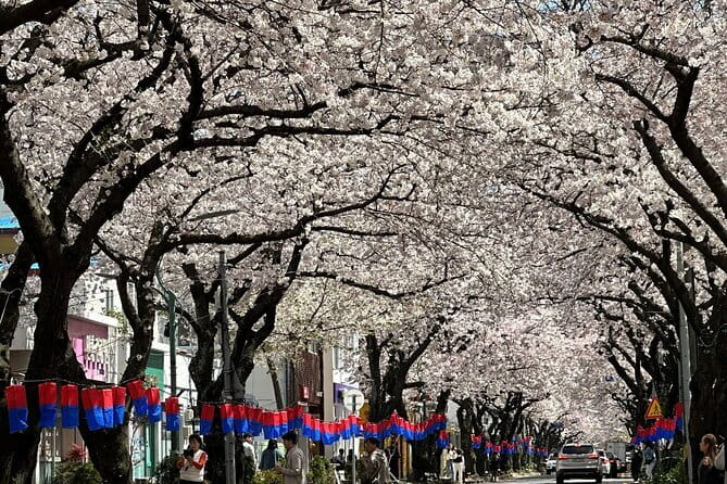 Small Group Tour East Jeju Cherry Blossom & Woman Diver Show - Spring Starts at 8:30, and the Pace Is the Point