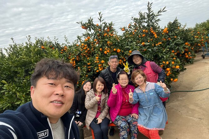Small group tour FULL - PACKAGE Tour to All Areas in Jeju Island - Key points before you go