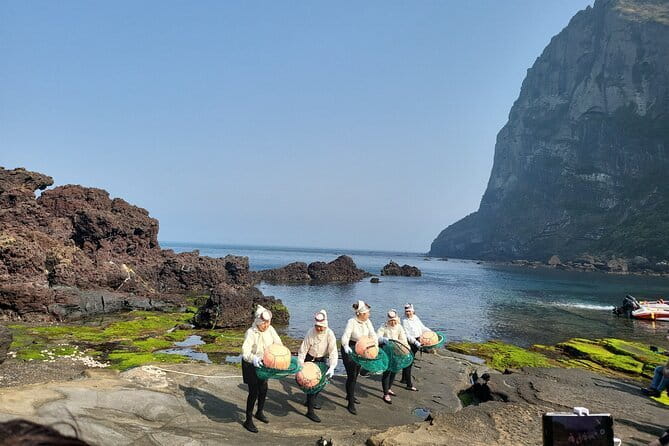 Small Group Tour in East Jeju Healing Island w/Woman Divers Show - Bijarim Forest: 2,800 Bija trees and the New Millennial Tree