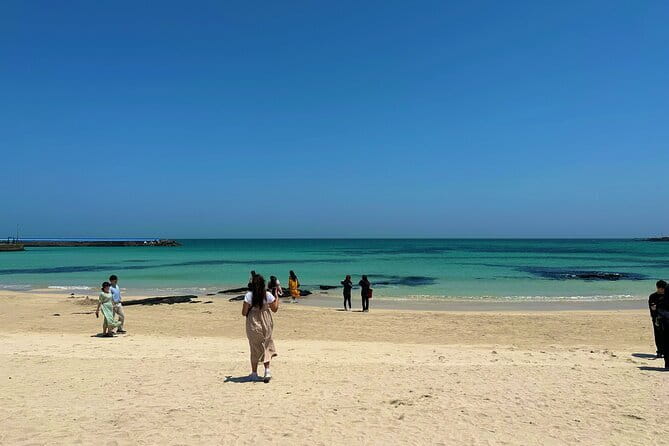 Small Group Tour in East Jeju Healing Island w/Woman Divers Show - Seopjikoji coastline walk and the tangerine cafe finish