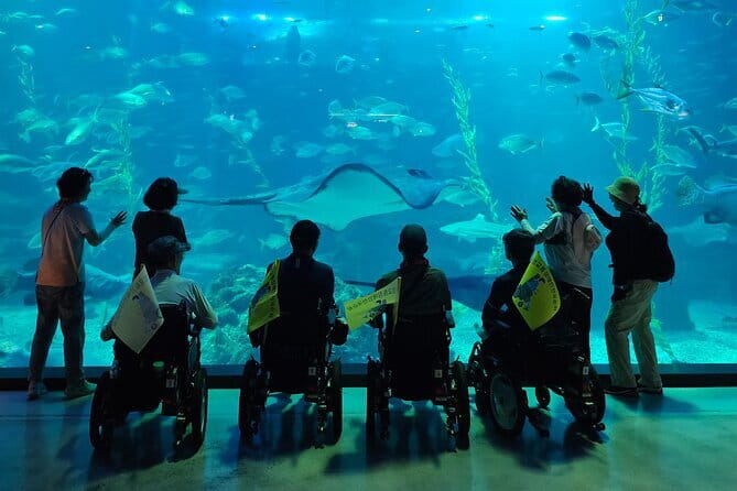 Small Group Tour in West Jeju Healing Island w/Caves & Dolphins - Stop 3: O’Sulloc Tea Museum and the art of tasting green tea