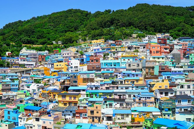 Small Group Tour of Busan Highlights by licensed tour guide - Hotel Pickup Plus a Small Minivan: Your Day Stays Low-Stress