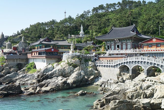 Small Group Tour of Busan Highlights by licensed tour guide - Gamcheon Culture Village: Refugee Roots, Street Art, and Lunch With a Local Restaurant