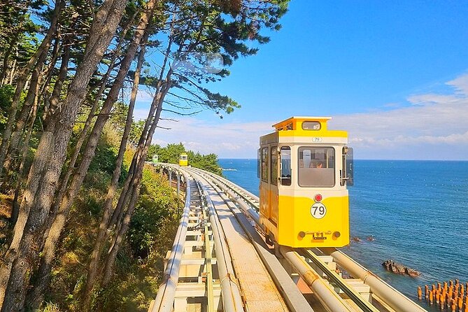 Small Group Tour of Busan Highlights by licensed tour guide - Songdo Cable Car and the Coastal Lock-and-Bridge Views
