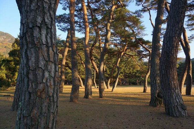 Songnisan National Park & Beopjusa Temple UNESCO site Private Tour - The private format: your pace with Mr. Kim’s kind guidance