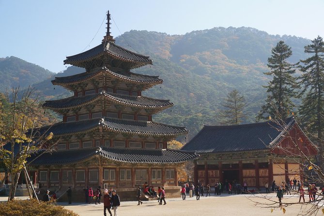 Songnisan National Park & Beopjusa Temple UNESCO site Private Tour - Timing and lunch: eating well during a long day