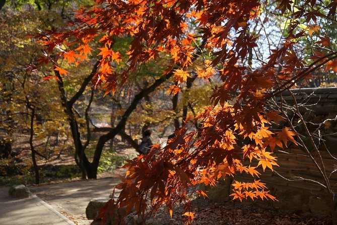 Songnisan National Park & Beopjusa Temple UNESCO site Private Tour - From Seoul: hotel pickup, the two-hour drive, and what to do in transit