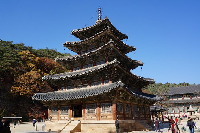 Songnisan National Park & Beopjusa Temple UNESCO site Private Tour - Songnisan hiking choice: forest trail comfort or Munjangdae challenge