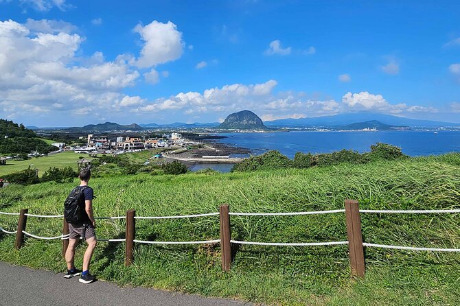 South-West Jeju Essentials: Hallasan & Signature Highlights - Stop 1: 1100 Altitude Wetland, and why the location may shift