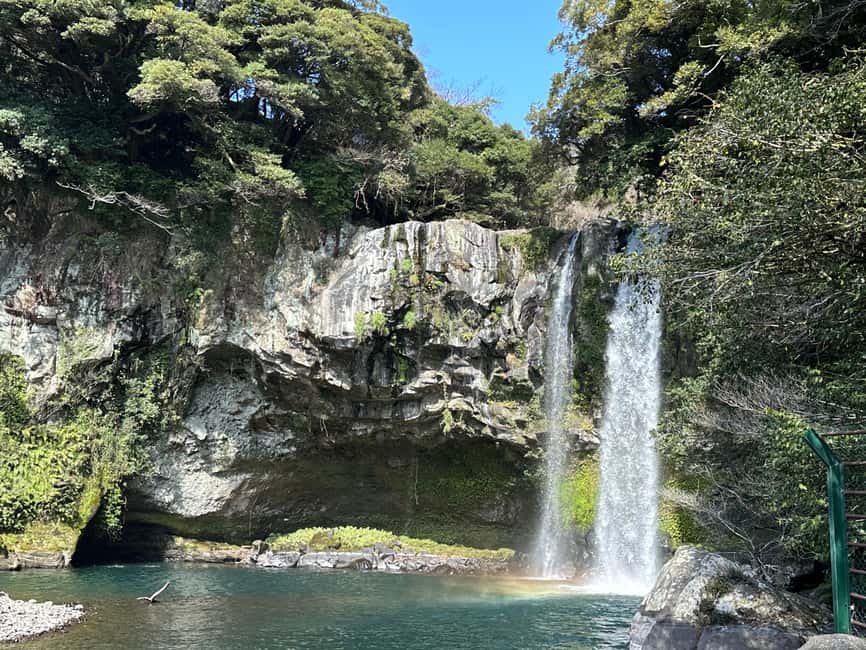 Southern Jeju Healing UNESCO Small Group Day Tour - Southern Jeju Healing: the vibe and the value of a day plan