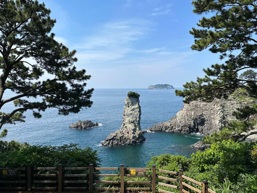 Southern Jeju Healing UNESCO Small Group Day Tour - Lunch break: local food choices that fit the route