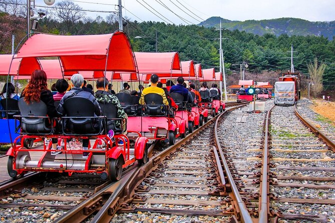Special Private Tour Nami Island, Rail Bike, Petite France - Lunch at 호원가든: The Midday Break You Do Not Want to Skip