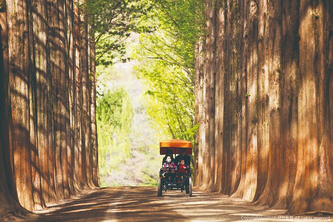 Special Private Tour Nami Island, Rail Bike, Petite France - Price and Logistics: When $275 Makes Sense