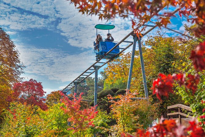 Special Private Tour Nami Island, Rail Bike, Petite France - Gangchon Rail Bike: Zelkova Tunnel and a 30m Bridge Ride