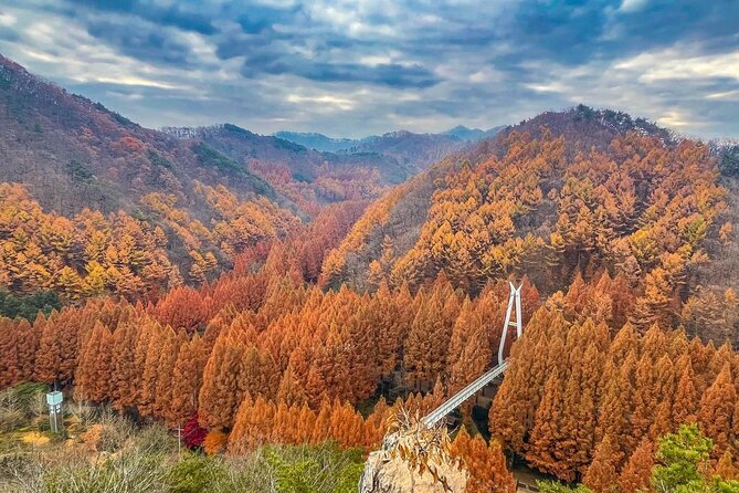 Suwon Hwaseong Fortress & Jangtaesan Full-Day Tour: Autumn Leaves - Jangtaesan Natural Forest Walk: Autumn Foliage and Breathing Space
