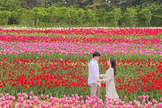 Taean Tulip Festival and Strawberry Picking Day Tour from Seoul - Key things that make this day trip work