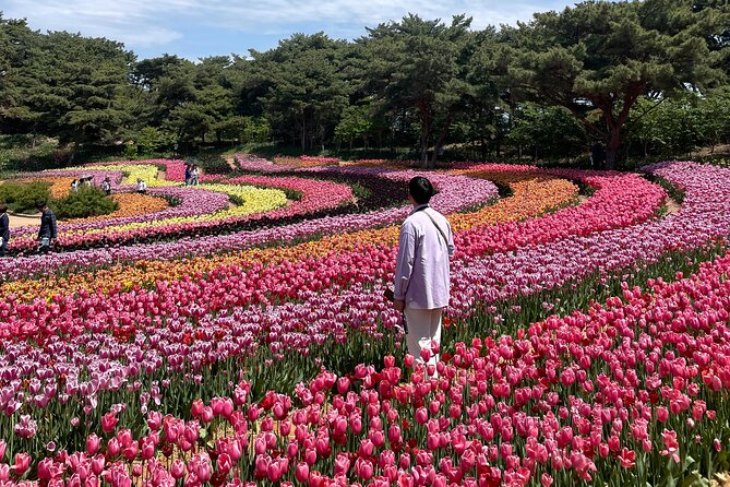 Taean Tulip Festival and Strawberry Picking Day Tour from Seoul - Timing the full day: 12 to 13 hours sounds long, but it’s doable