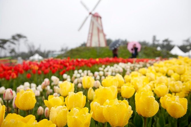 Taean Tulip Festival and Strawberry Picking Day Tour from Seoul - Transportation and group size: calm logistics, manageable crowd